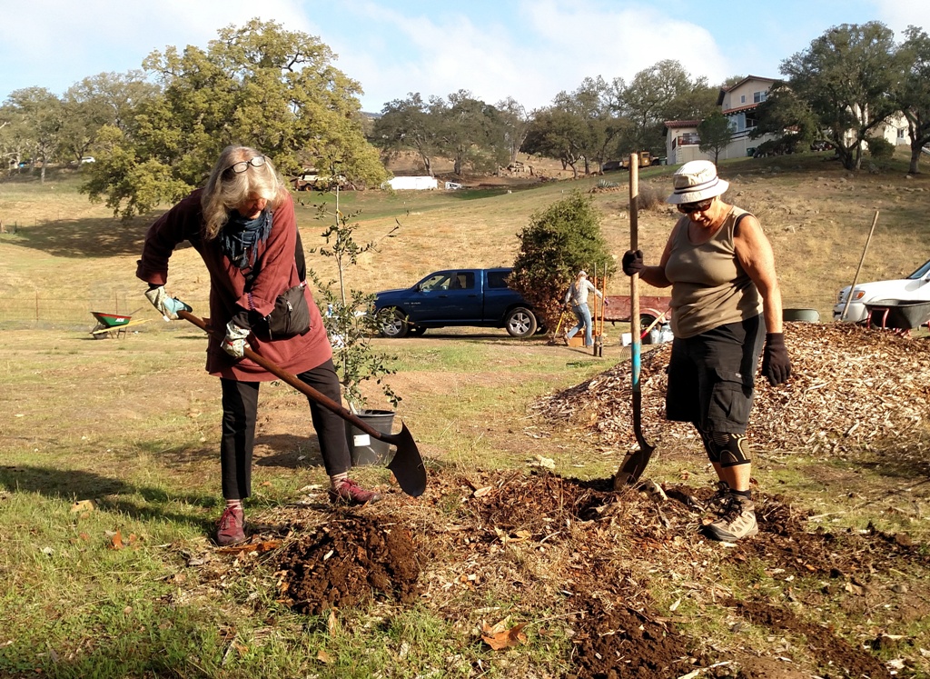 Kate and Kathy planting a Live Oak tree.